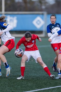 Bild 429 - wBJ Hamburger SV - Holstein Kiel : Ergebnis: 8:0